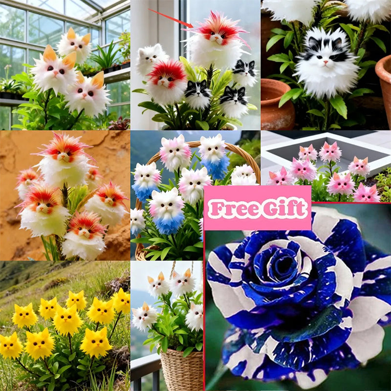 Magiški augalai! Akinanti „Katės akies“ serija✨-LT