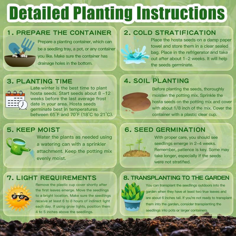 🔥Vroča razprodaja - 49 % POPUSTA🔥🌱Mešana semena vrtnic - brez GSO, enostavna za gojenje, čudovite trajnice-SI
