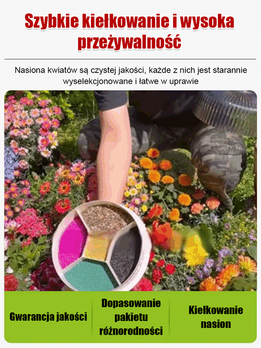 Cztery pory roku kwitnienia - mieszanka nasion kwiatów