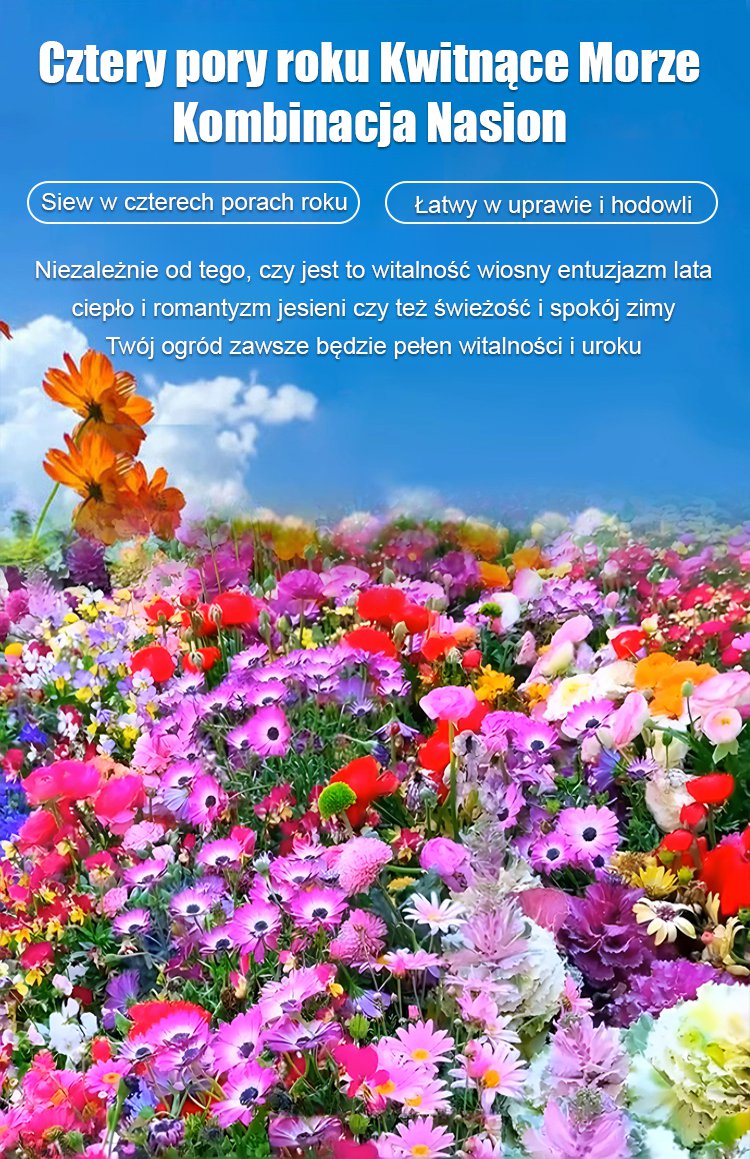 Cztery pory roku kwitnienia - mieszanka nasion kwiatów