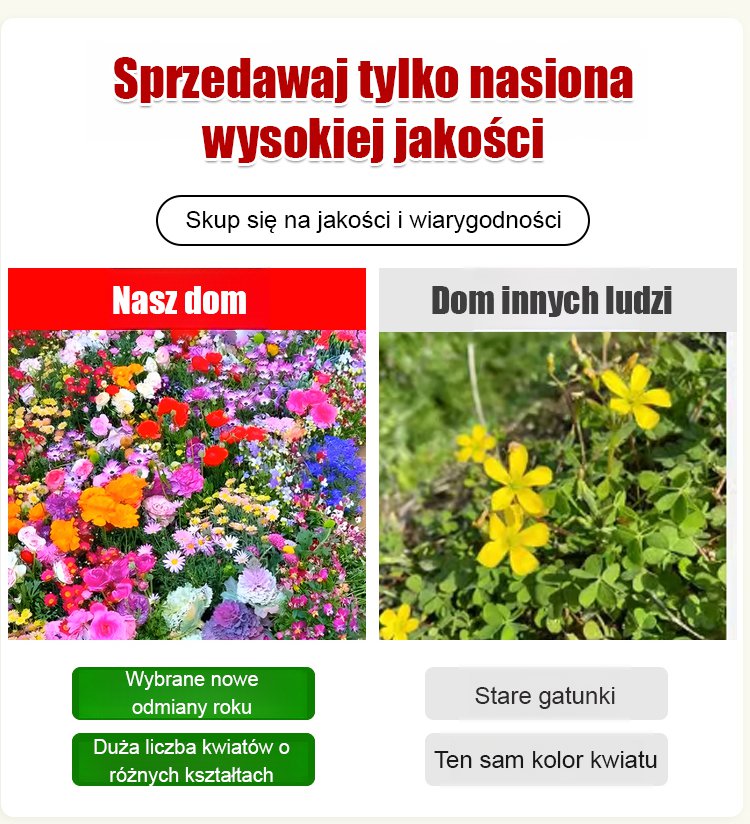 Cztery pory roku kwitnienia - mieszanka nasion kwiatów