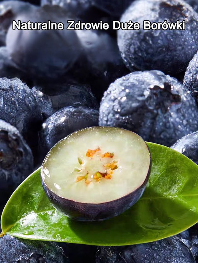 Łatwe w uprawie nasiona borówki o wysokiej wydajności