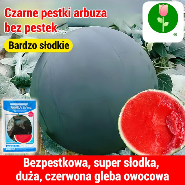 【Słodsze niż miód】Czarne bezpestkowe nasiona arbuza wysokoplennego