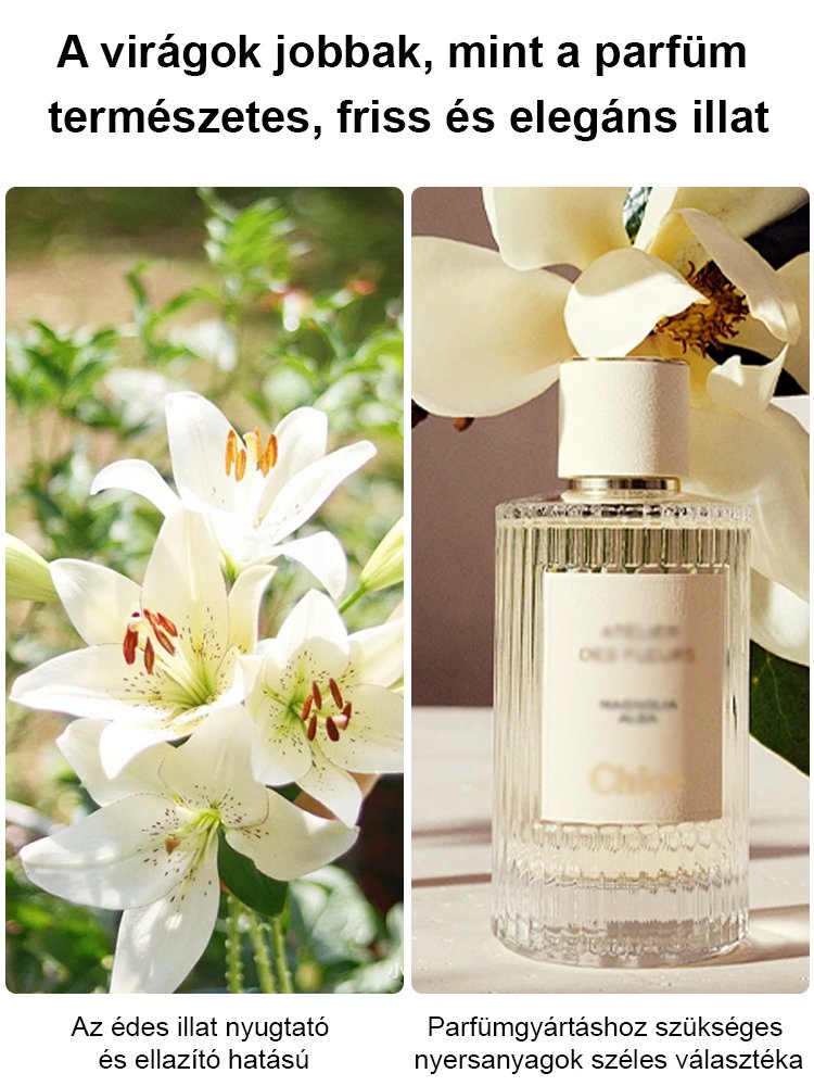 【Bardziej pachnący niż perfumy】Cebulki lilii Four Seasons pachnące na tysiące mil,Kwitnie co roku