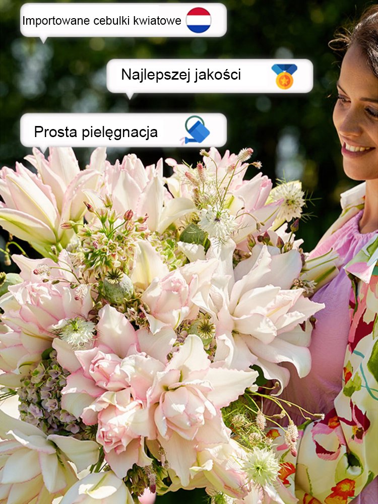 【Bardziej pachnący niż perfumy】Cebulki lilii Four Seasons pachnące na tysiące mil,Kwitnie co roku