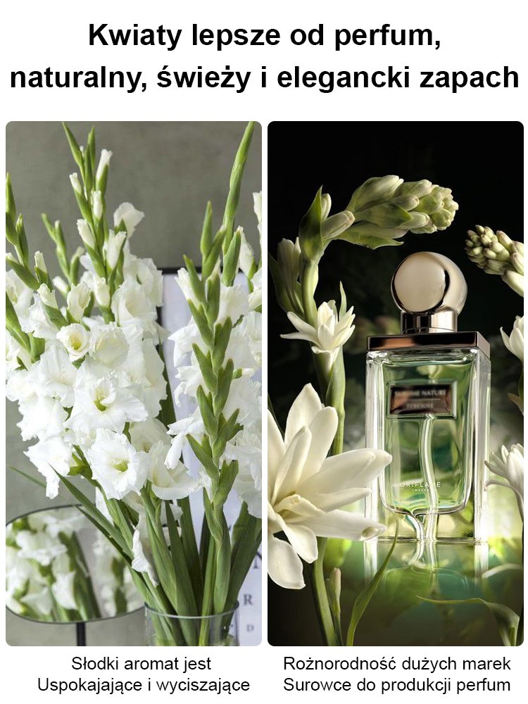 【Bardziej pachnący niż perfumy】Kwiaty tuberozy pachnące na tysiące mil,Kwitnie co roku