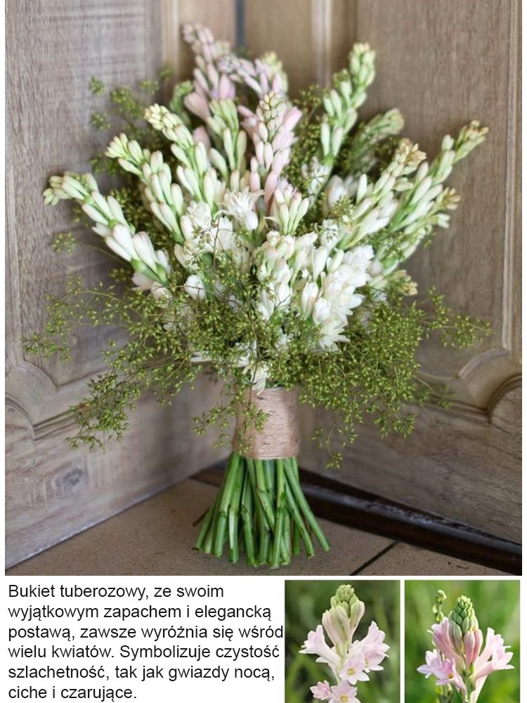 【Bardziej pachnący niż perfumy】Kwiaty tuberozy pachnące na tysiące mil,Kwitnie co roku