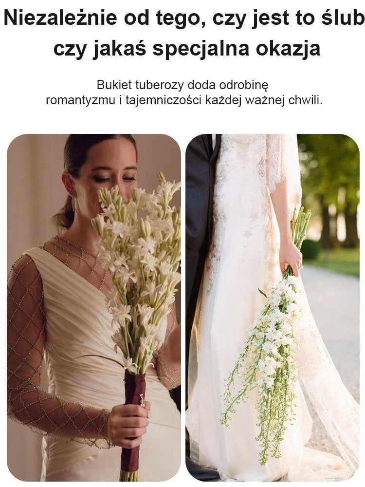 【Bardziej pachnący niż perfumy】Kwiaty tuberozy pachnące na tysiące mil,Kwitnie co roku