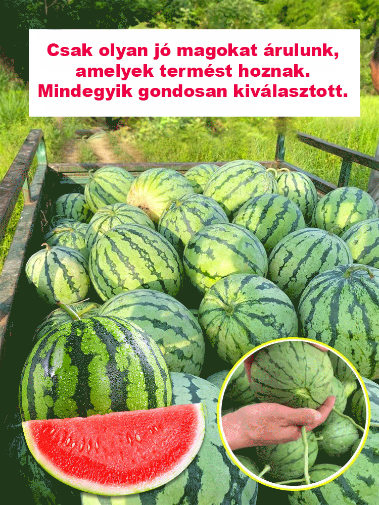 đ Mag nĂ©lkĂŒli âKirinâ görögdinnye â tiszta nyĂĄri Ă©dessĂ©g! đ