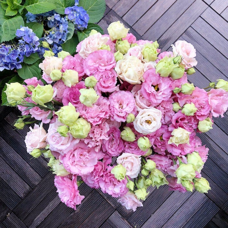 🔥Τελευταία μέρα πώλησης💝Eustoma Thornless Rose💐Σπόροι Lisianthus-GR
