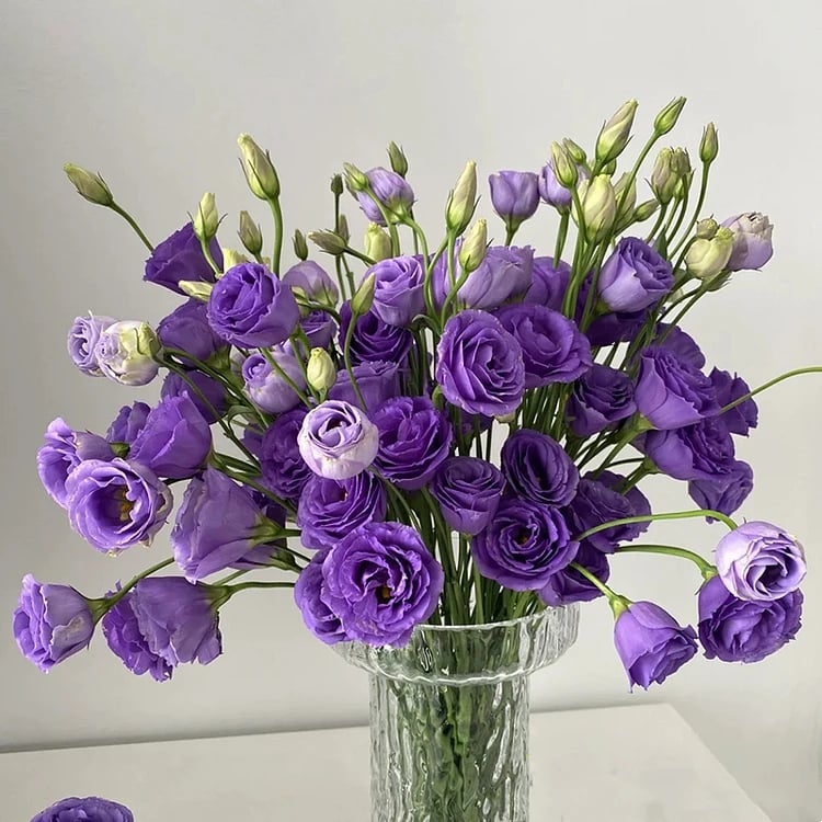 🔥Posledný deň predaja💝Eustoma beztŕňová ruža💐Semená Lisianthus-SK