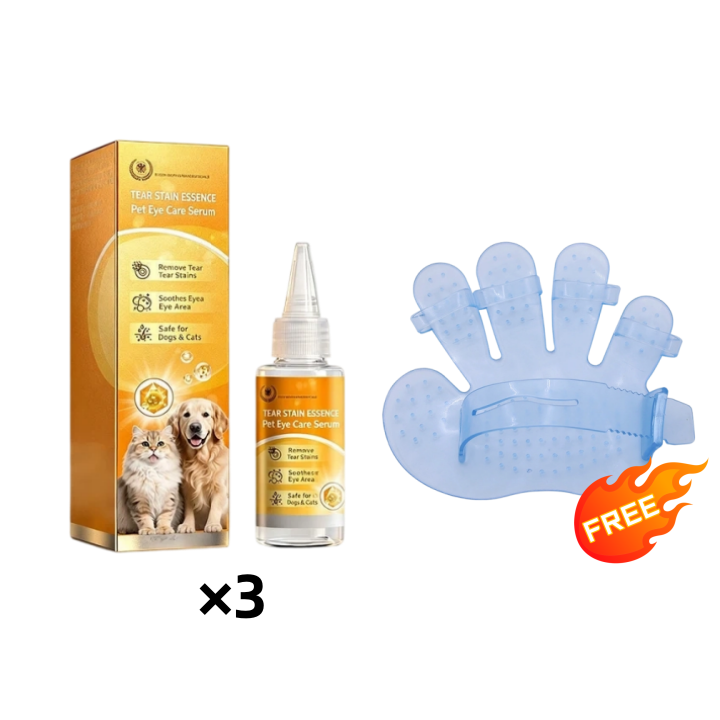 🐶 ✨ Gyengéd szemápolás – a szemkörnyék tisztítása és napi szőrápolás 👀