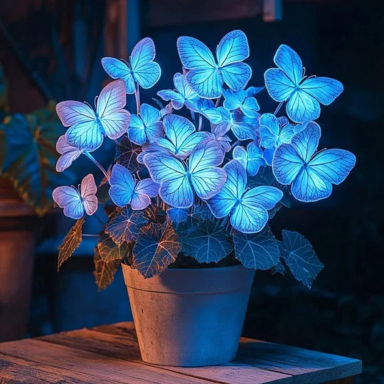 💥 Új begóniák 🦋 Pillangóbegónia magok 🌱 Bonsai, amilyet még soha nem láttál
