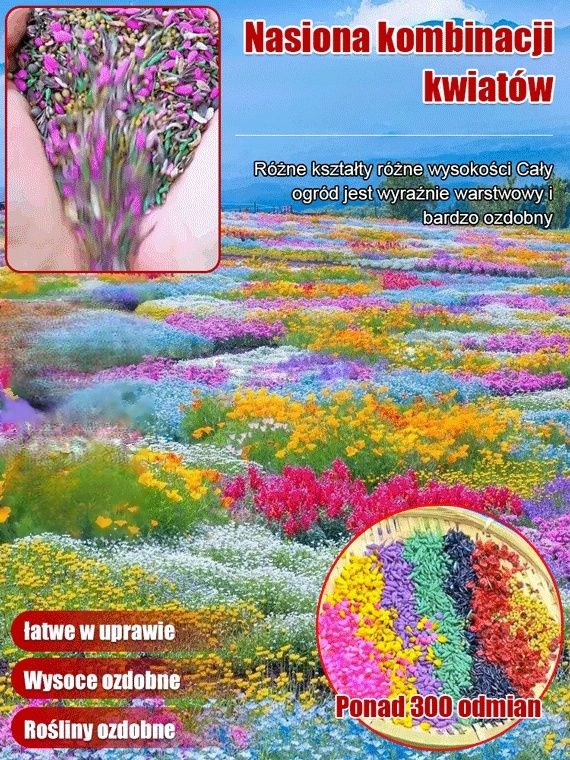 Cztery pory roku kwitnienia - mieszanka nasion kwiatów