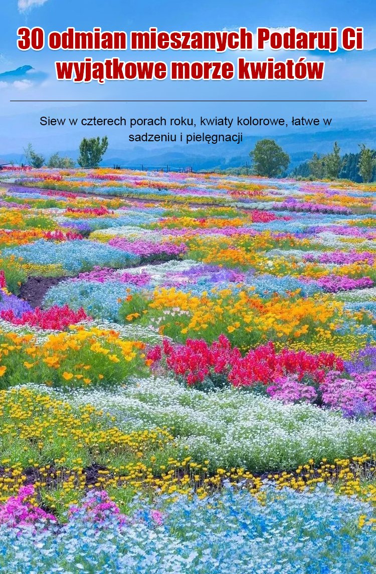 Cztery pory roku kwitnienia - mieszanka nasion kwiatów