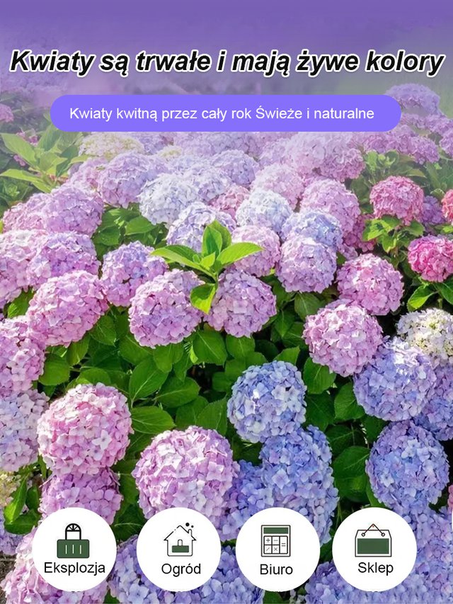 Hortensje w ogrodzie - uprawa przez cztery pory roku