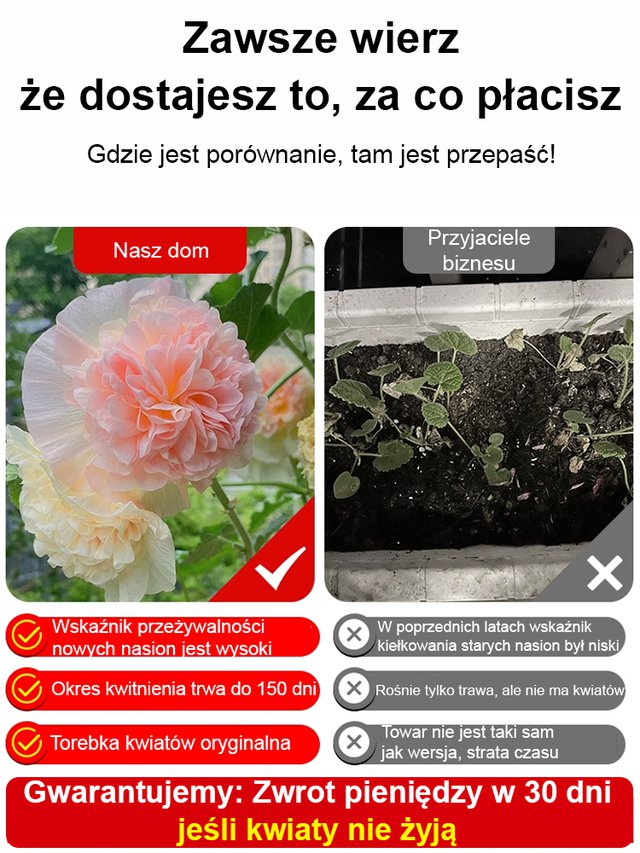 Sezonowe nasiona malwy dwupłatkowej kwitnącej