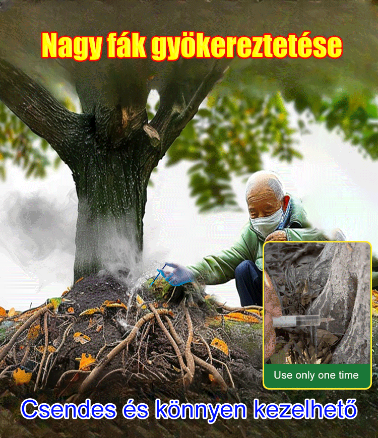 Tű alakú piridoxin-előállító szer