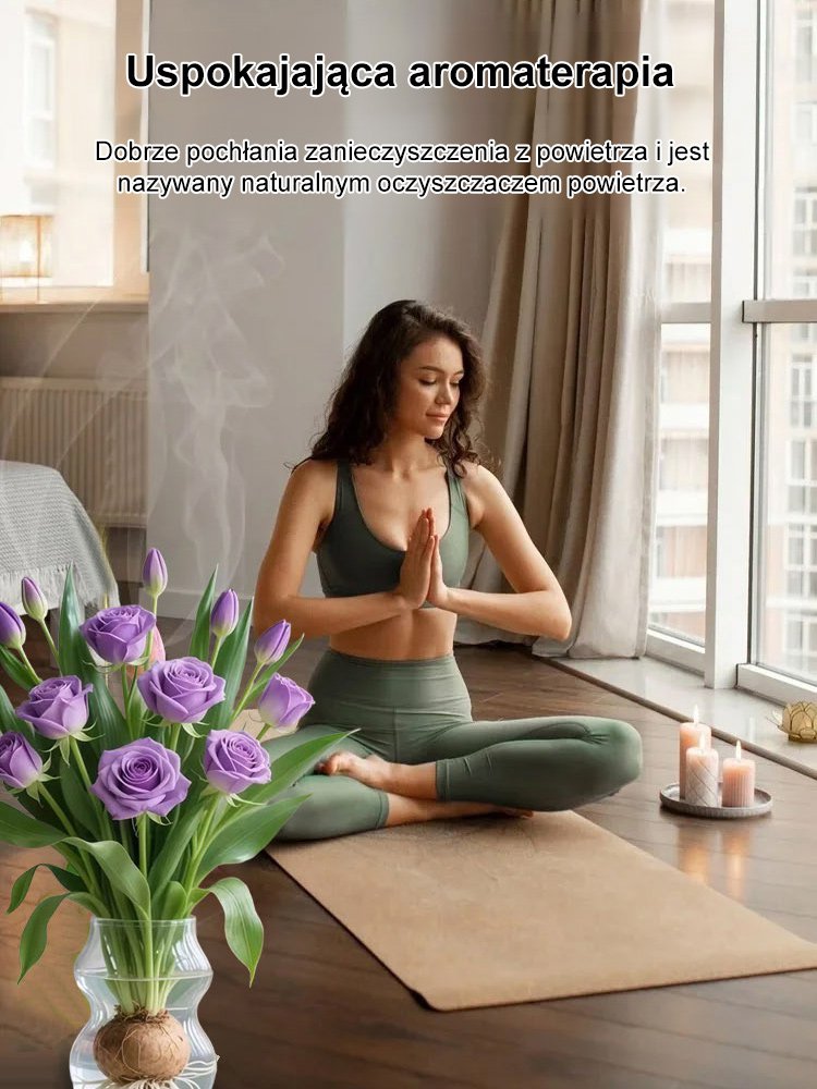 【Kwitnienie przez 300 dni】Odmiana róż do hydroponii o intensywnym zapachu