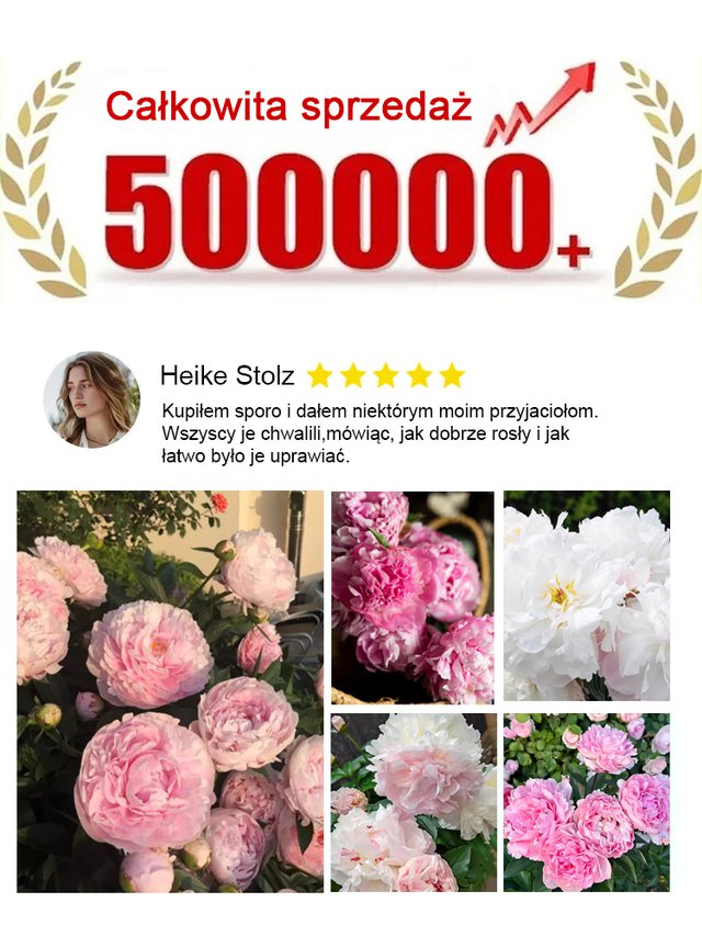 [Nasiona piwonii dwupłatkowej] Jedno nasiono, morze kwiatów