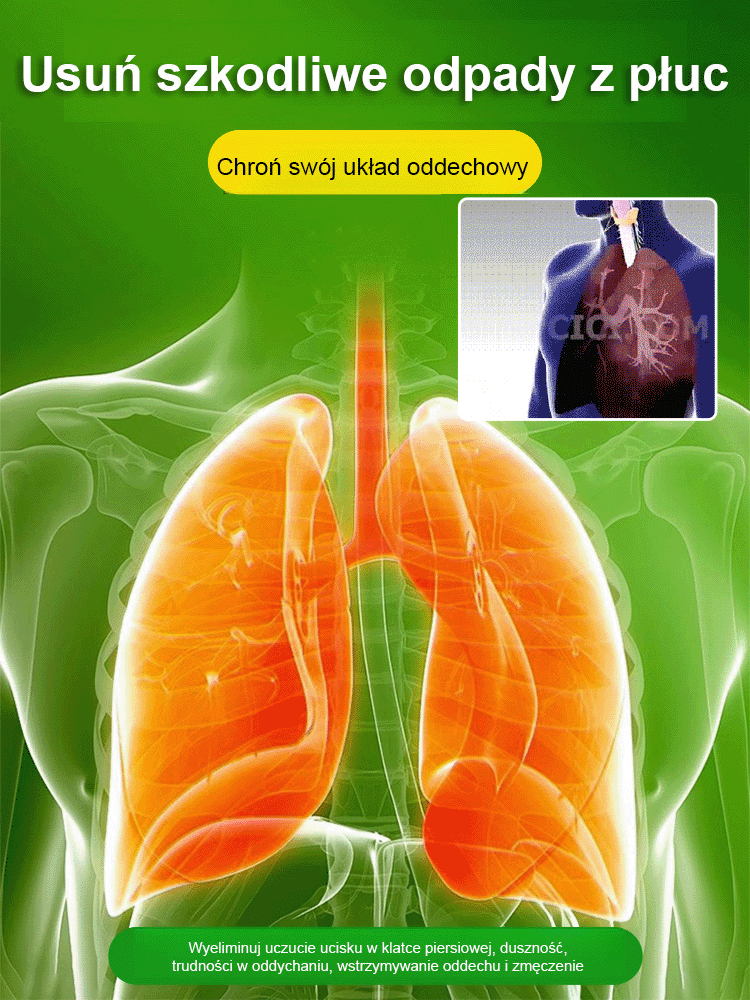 Złoty diament rośliny zielone【Król uzdrawiania płuc】