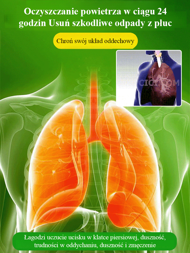 【Gdy napotka wodę, ożywa】Czteropory roku kwitnąca hydroponiczna brazylijska szczęśliwa roślina