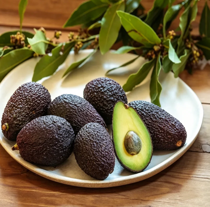 🍃 Séria Heirloom Manor: Sada 13 vybraných ovocných semienok (bez GMO) 🌳 – Najpredávanejší produkt-SK