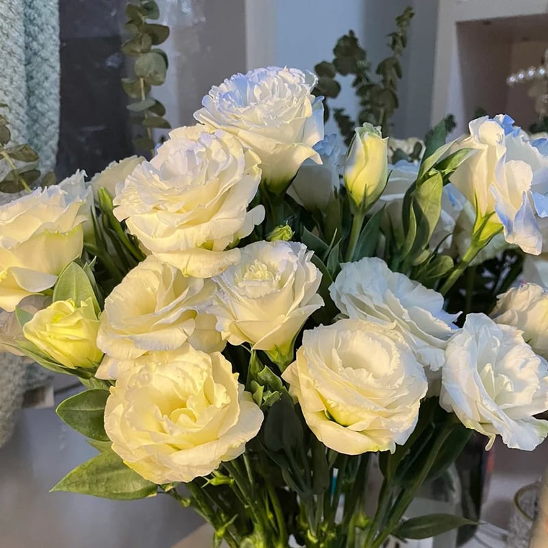 🔥Paskutinė išpardavimo diena💝Eustoma bespygliuočių rožė💐Lisianthus sėklos-LT