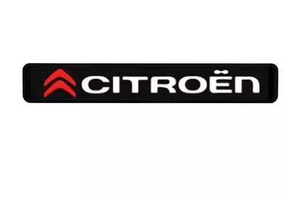 Gorąca wyprzedaż ✨50% zniżki ✨Stylowa, klimatyczna lampa LED z logo na środkową osłonę chłodnicy samochodu