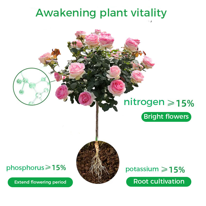 🌱Prašek za pospeševanje cvetenja | Hitra rast korenin + večji cvetovi!🌸-SI