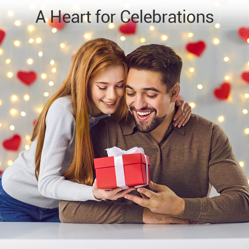 Περιστρεφόμενη στεφάνη από τιτάνιο και ατσάλι με ζιρκόνιο-GR